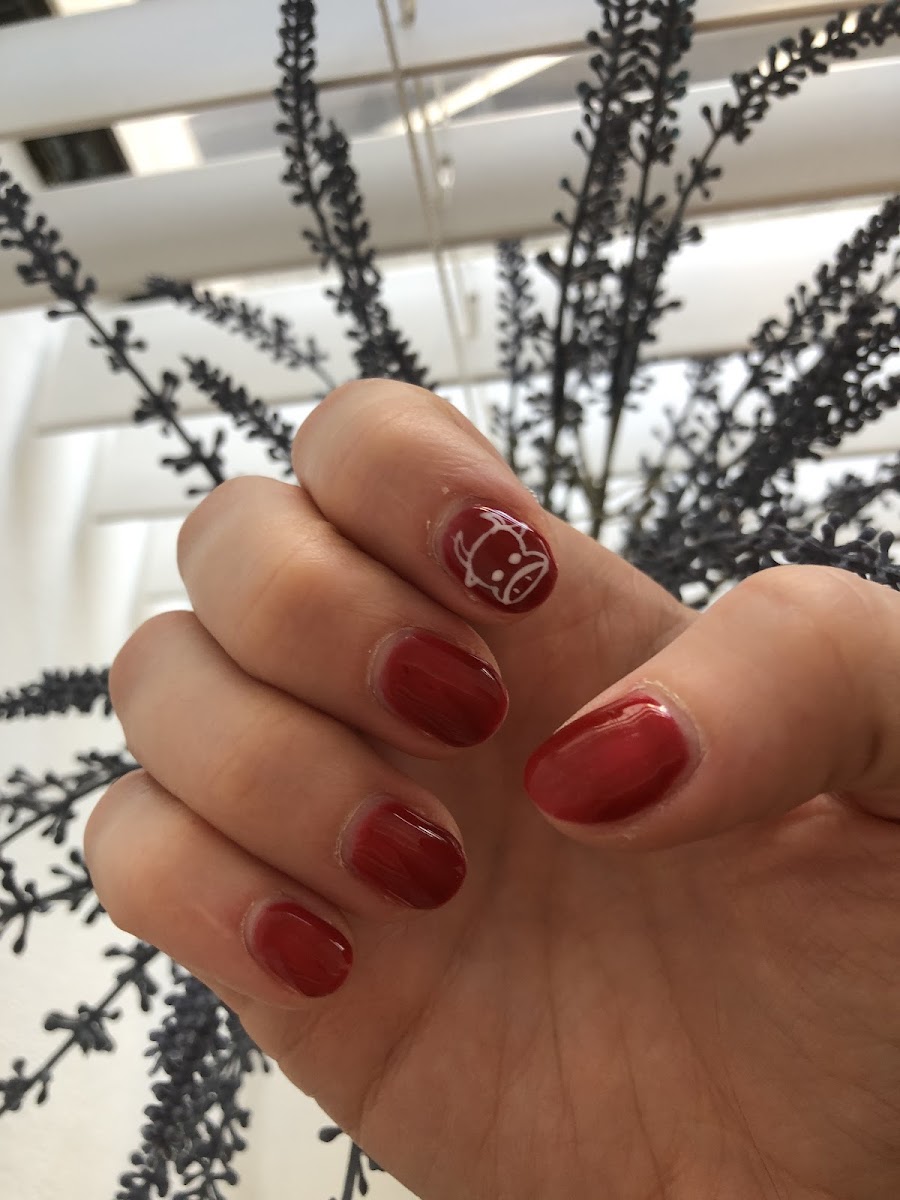 NAILTURE - our work